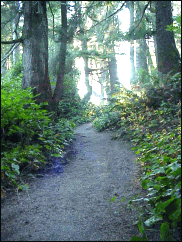 image of the many exits off the beach to the main trailhead