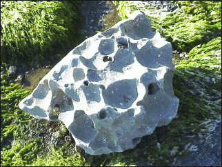 image of a strange looking rock, looks like indents cut deep into the rock about the size of a basketball